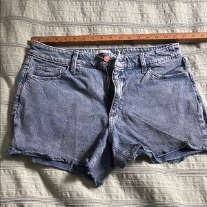 Universal Thread Light Blue Jean Shorts